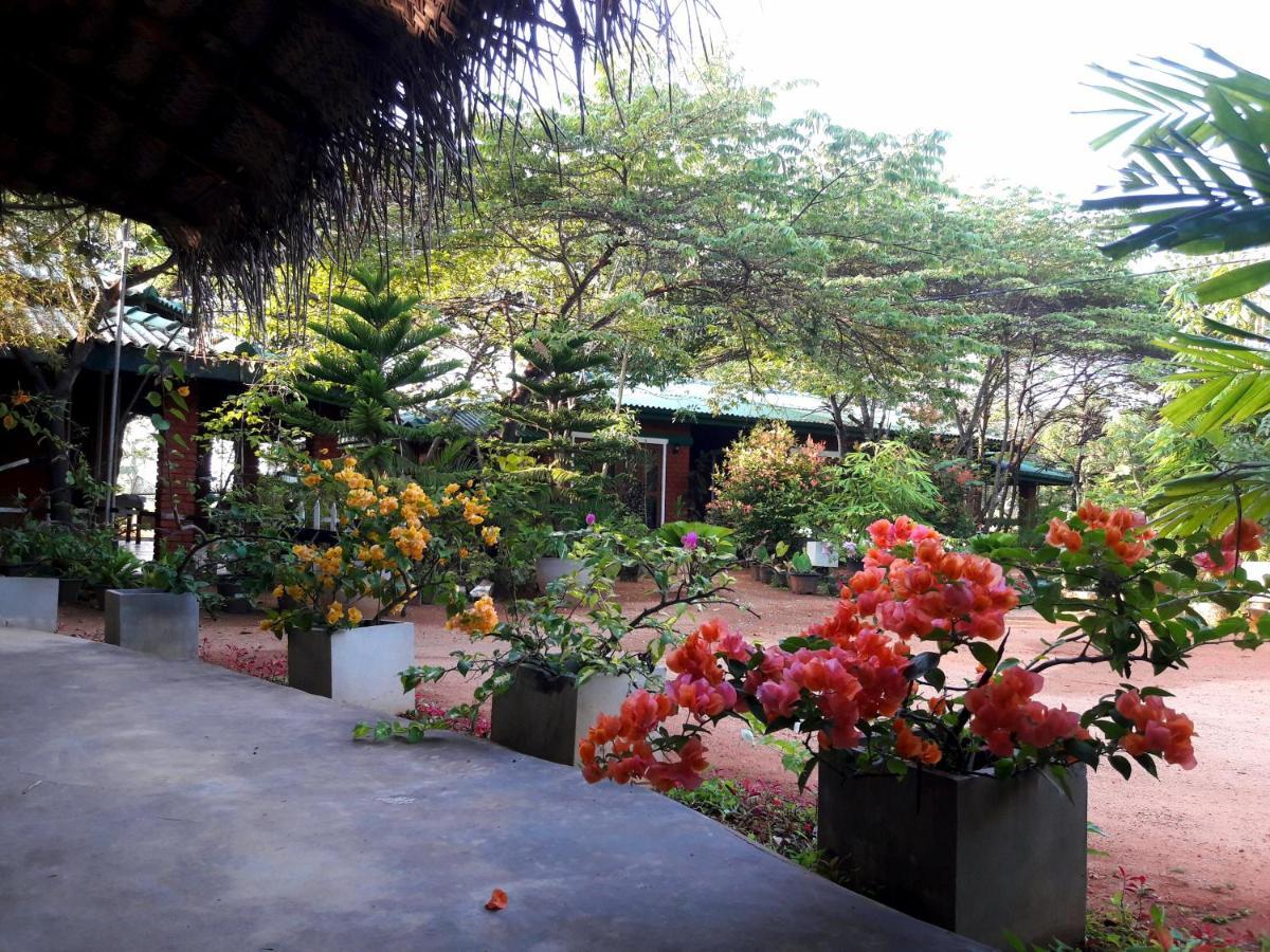 Sunshine Resort & Spa Sigiriya Exterior foto